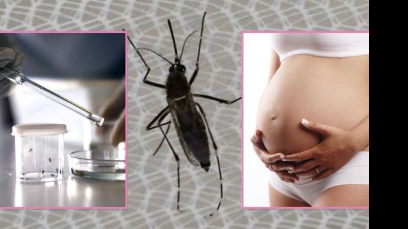 Nueva evidencia del vínculo entre el virus Zika y malformaciones congénitas
