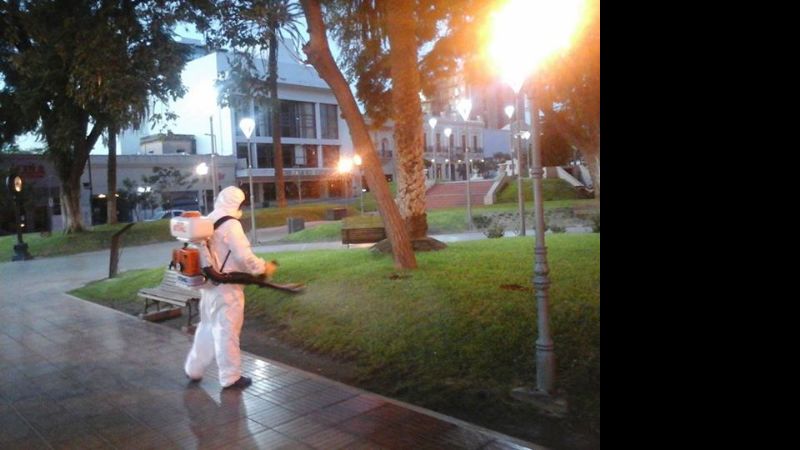 Prevención en controles de dengue