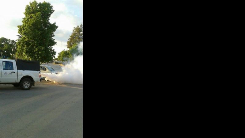 Fumigación en Recreo