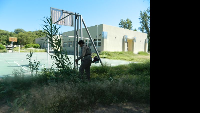 Acondicionamiento de escuelas para el inicio de clases