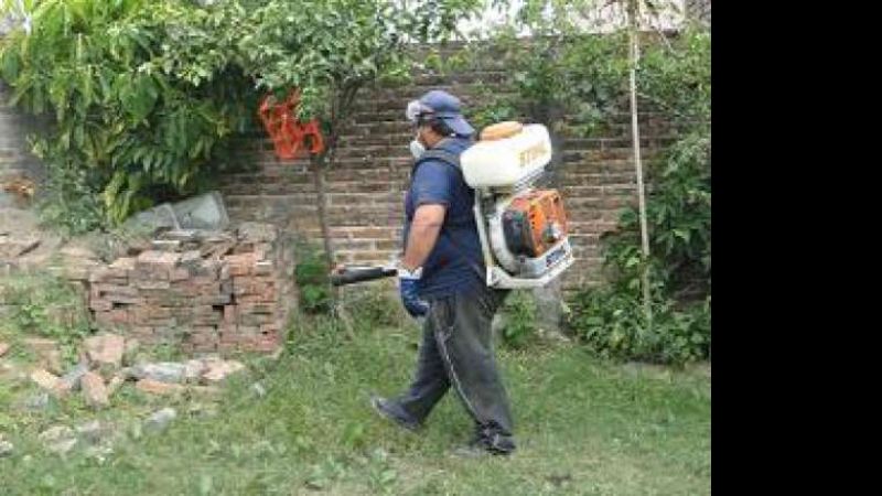 Informan sobre actividades de prevención del dengue en las festividades marianas