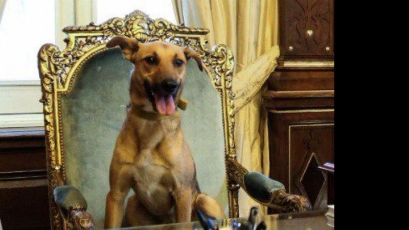 Marcelo Tinelli se burló del Gobierno por la situación del Indec