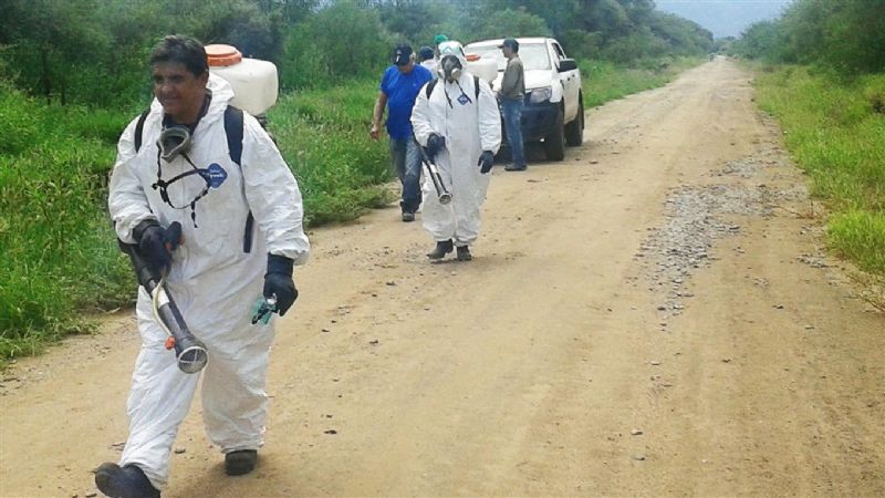 Intensa labor del Comité de Emergencia para combatir las langostas