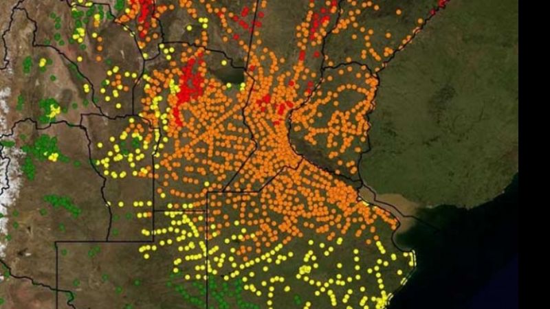 Un mapa y un celular para rastrear al mosquito del dengue en Argentina