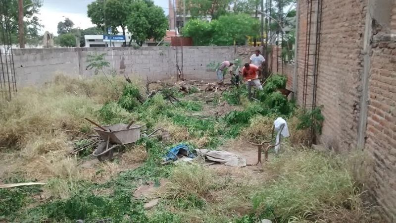 Limpieza del terreno del Círculo de Periodistas Deportivos