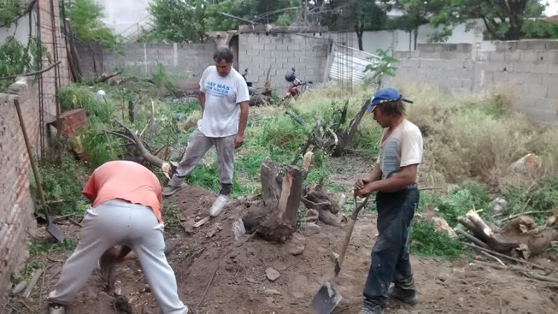 Limpieza del terreno del Círculo de Periodistas Deportivos