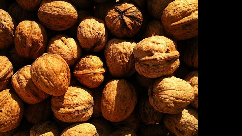 Catamarca busca fondos para una procesadora de aceite de nuez