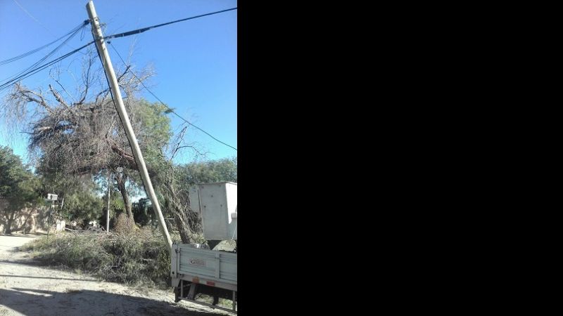 Podan árbol en Valle Viejo