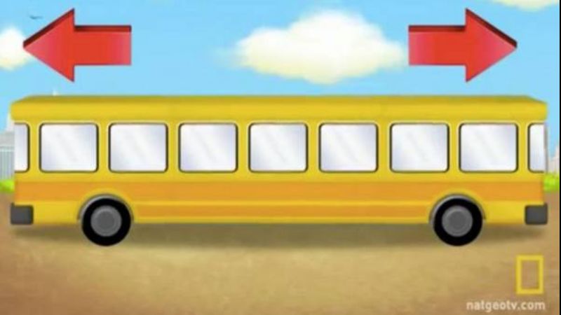 ¿Hacia dónde va el ómnibus? Un enigma para niños que desafía a los adultos