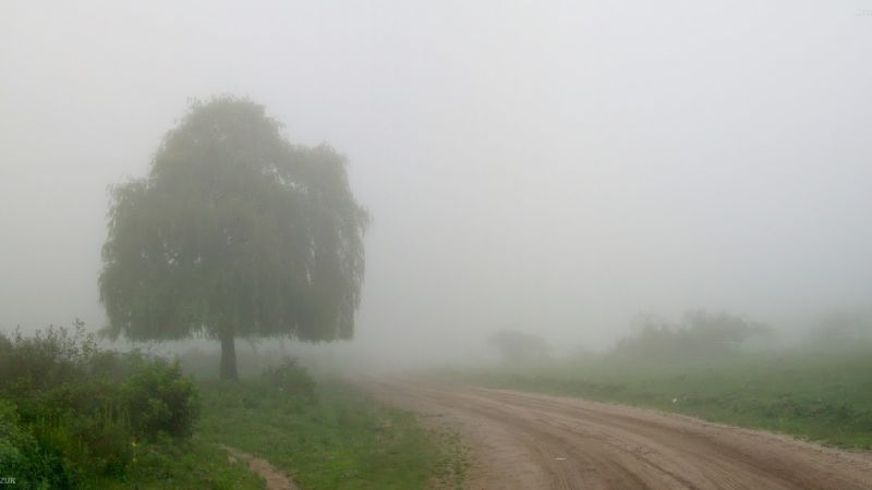 Precaución en la Cuesta El Clavillo por derrumbes, llovizna y niebla