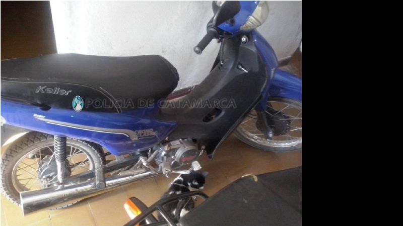 Secuestran elementos de dudosa procedencia