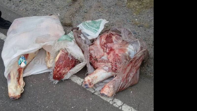 Secuestran importante cantidad de carne vacuna