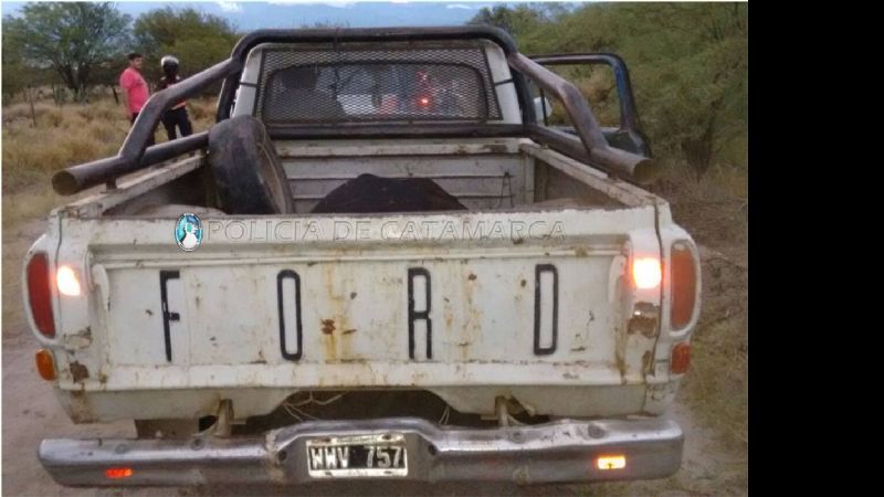 Secuestran un novillo en Huaycama