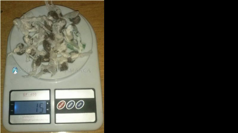 Los aprehenden y secuestran drogas