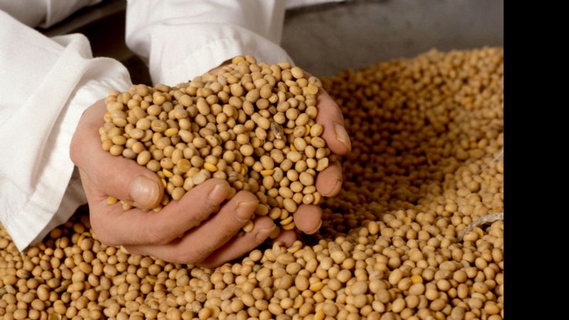 Aseguran que la exportación de soja no alcanza para cubrir el déficit energético