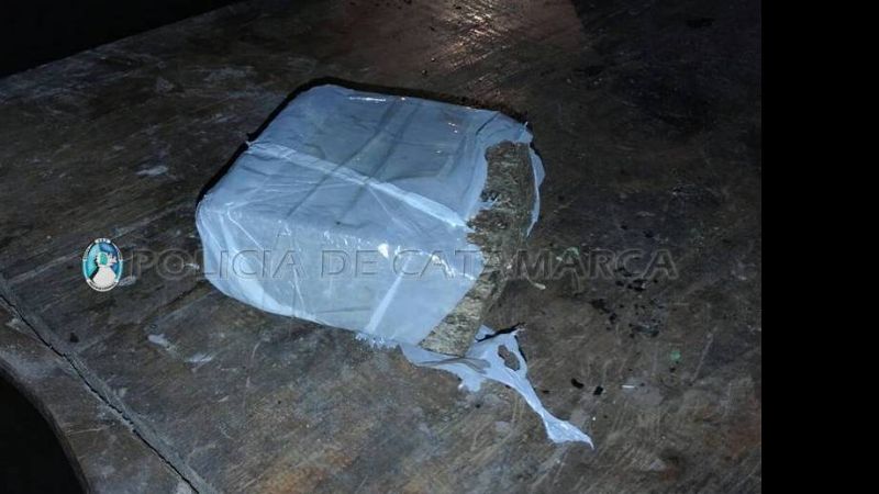 Encontraron más de un centenar de plantas de marihuana en Andalgalá