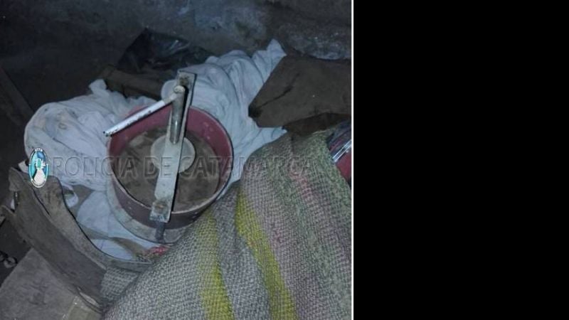 Encontraron más de un centenar de plantas de marihuana en Andalgalá