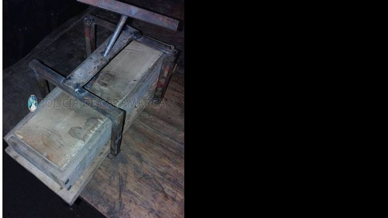 Encontraron más de un centenar de plantas de marihuana en Andalgalá