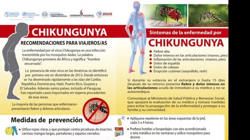 Diferencias entre el zika, el dengue y la chikungunya