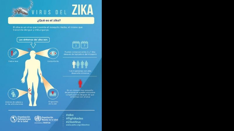 Diferencias entre el zika, el dengue y la chikungunya