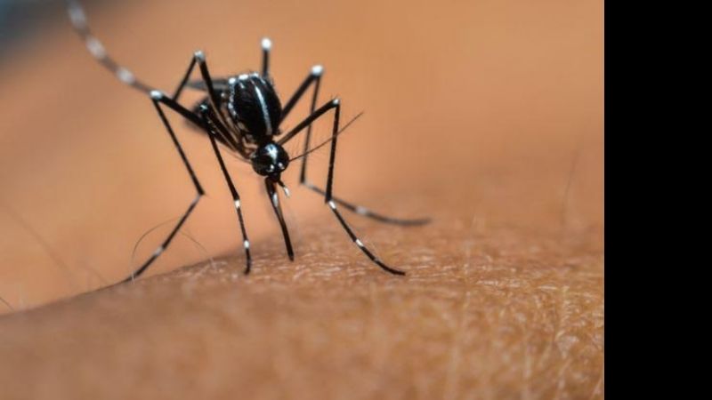 Confirman nuevo caso de Dengue