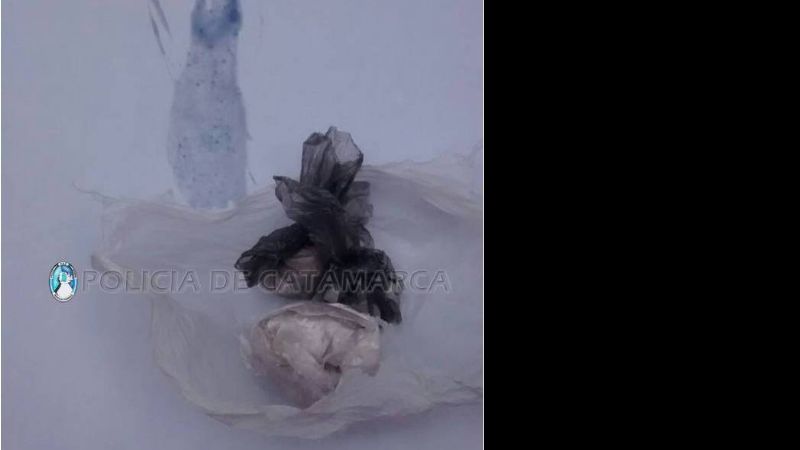 Secuestran marihuana y cocaína