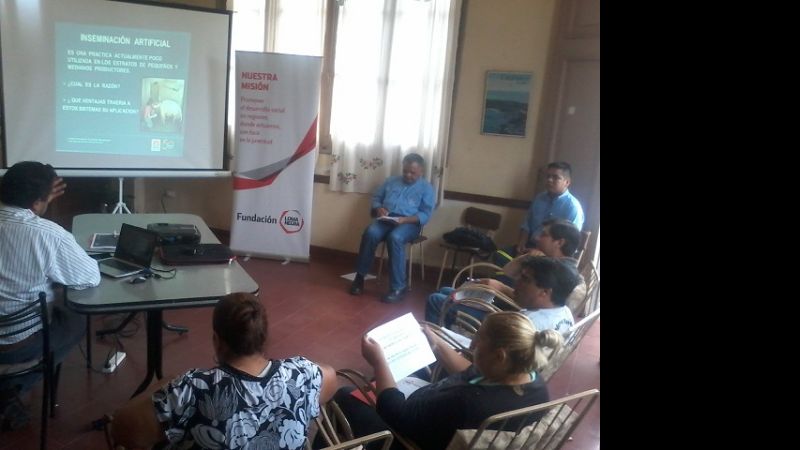 "Estrategia de Manejo en Sistema de Produccion Porcina"