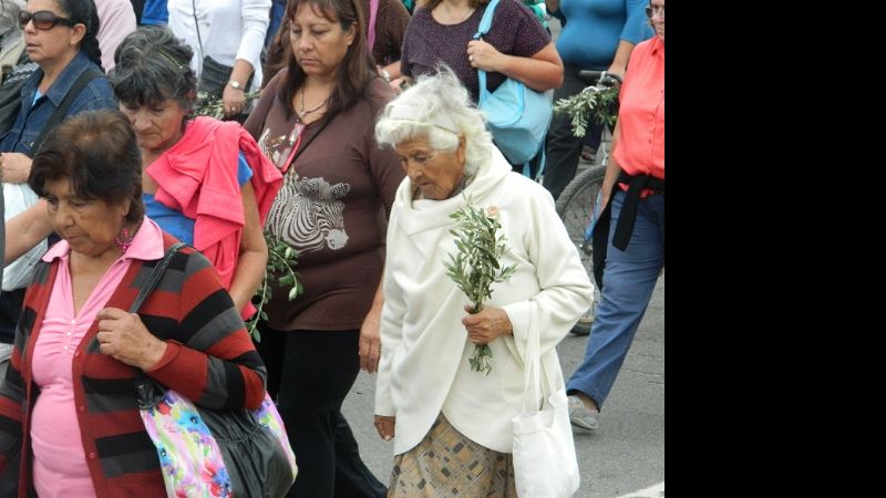 Una multitud participó de la Peregrinación del  Pueblo de Dios