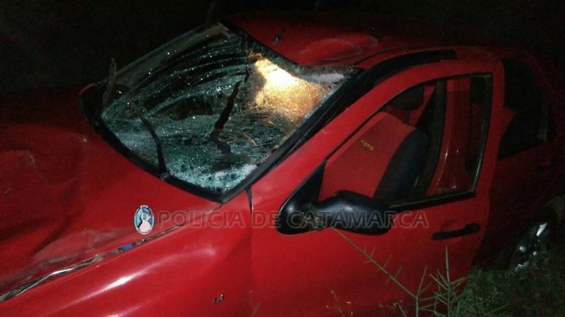 Dos autos embistieron a un caballo