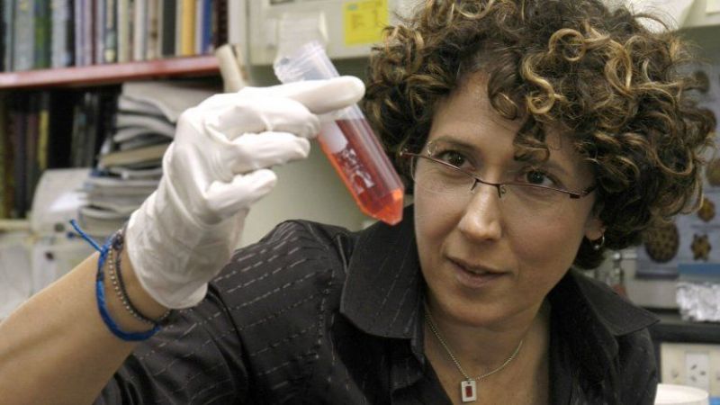 Científica argentina recibió premio por descubrimientos sobre el dengue