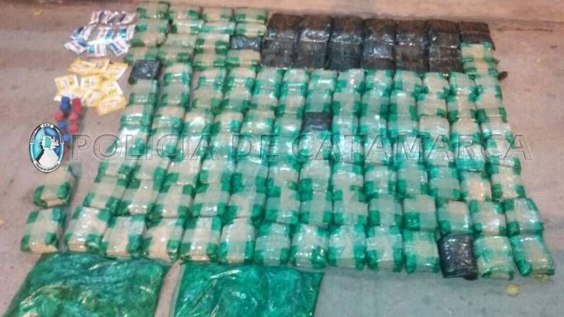 Secuestran 35 kilos de hojas de coca en el puesto caminero de Nueva Coneta