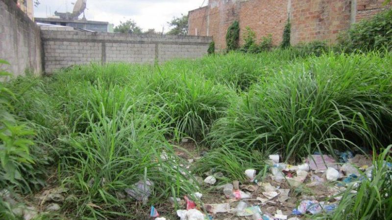 Detectan más de 2000 baldíos en el casco céntrico