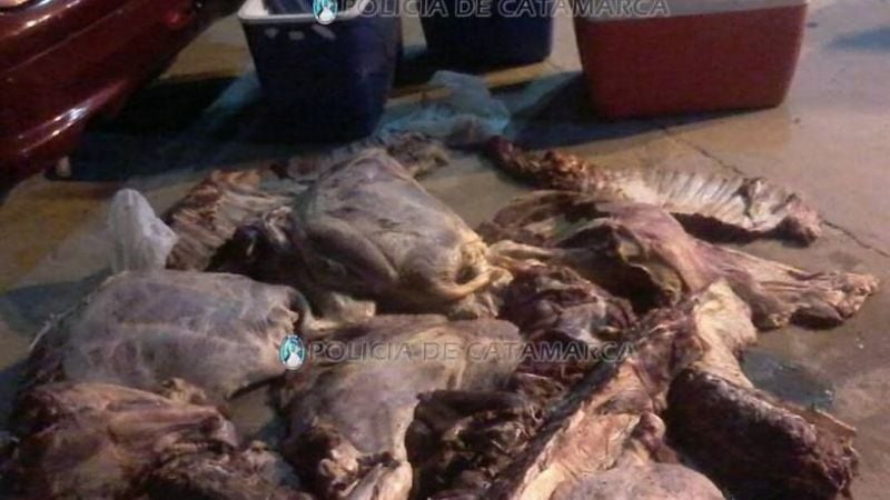 Secuestraron 140 kilos de carne vacuna