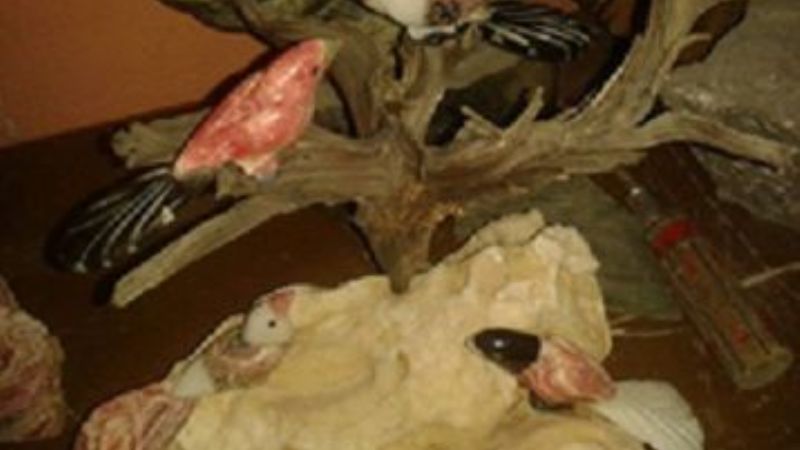 Lo echaron por no hacer campaña para Páez