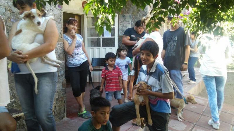 Exitosa campaña de salud animal