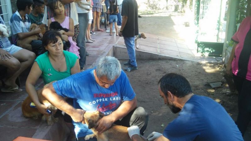 Exitosa campaña de salud animal