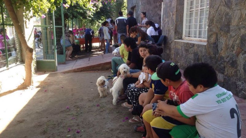 Exitosa campaña de salud animal