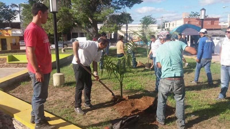 Reforestación en Recreo