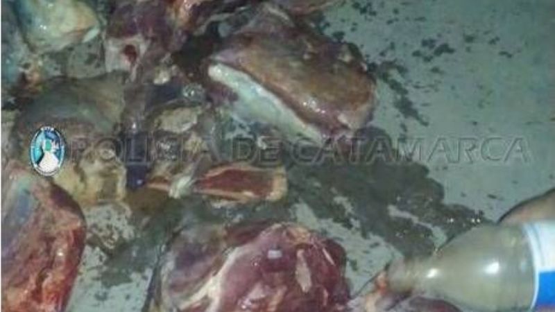 Secuestran carne vacuna y elementos de faena