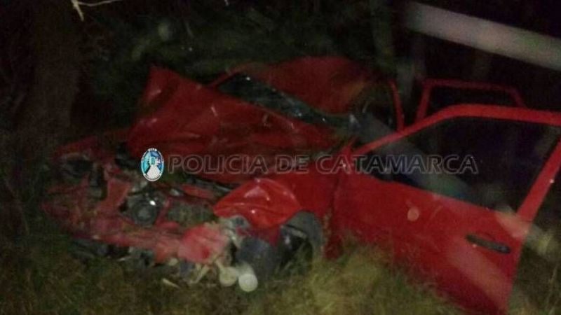 Embistió a un animal suelto en la ruta