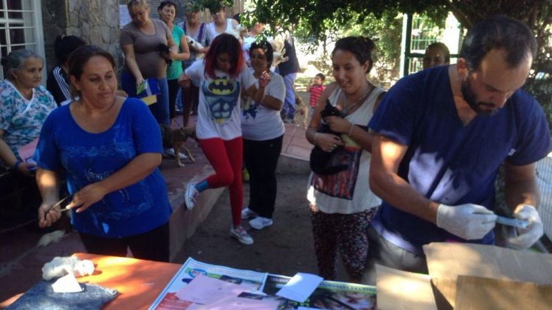 Continúa la campaña de vacunación, desparasitación y tratamiento de la sarna