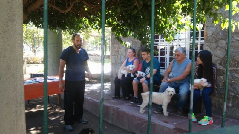 El Centro de Esterilización de mascotas municipal sigue recorriendo los barrios