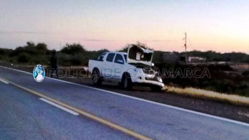 Chocó con un animal en la ruta 157