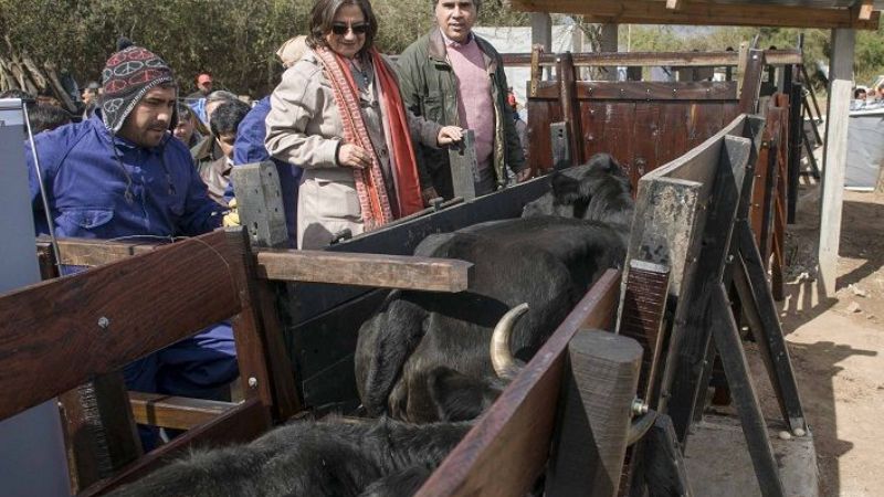 Lucía inauguró un centro de manejo ganadero en Ambato
