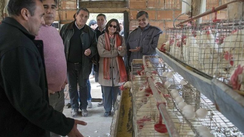 Lucía inauguró un centro de manejo ganadero en Ambato