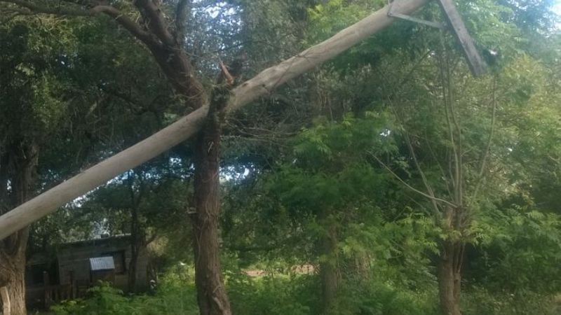 Camioneta chocó contra poste de energía eléctrica