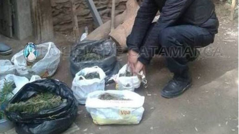 Secuestran un kilo y medio de marihuana en Fray M. Esquiú