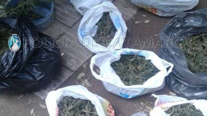Secuestran un kilo y medio de marihuana en Fray M. Esquiú