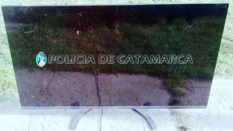 Secuestran un LCD y tres perros