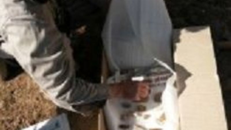 Posible hallazgo de un gliptodonte fosilizado